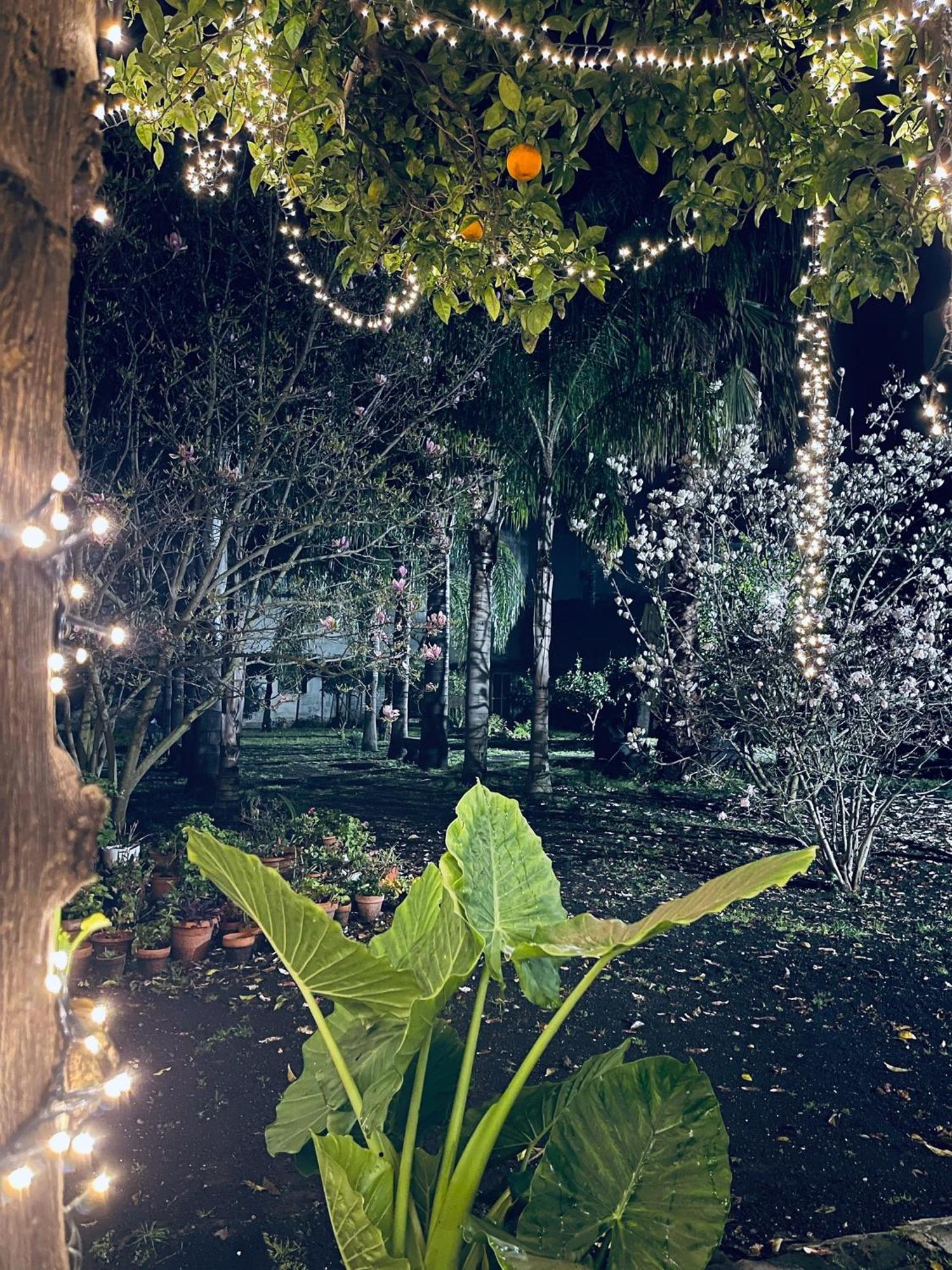 Giardino Del Vesuvio, Pompei Villa Terzigno Exterior photo